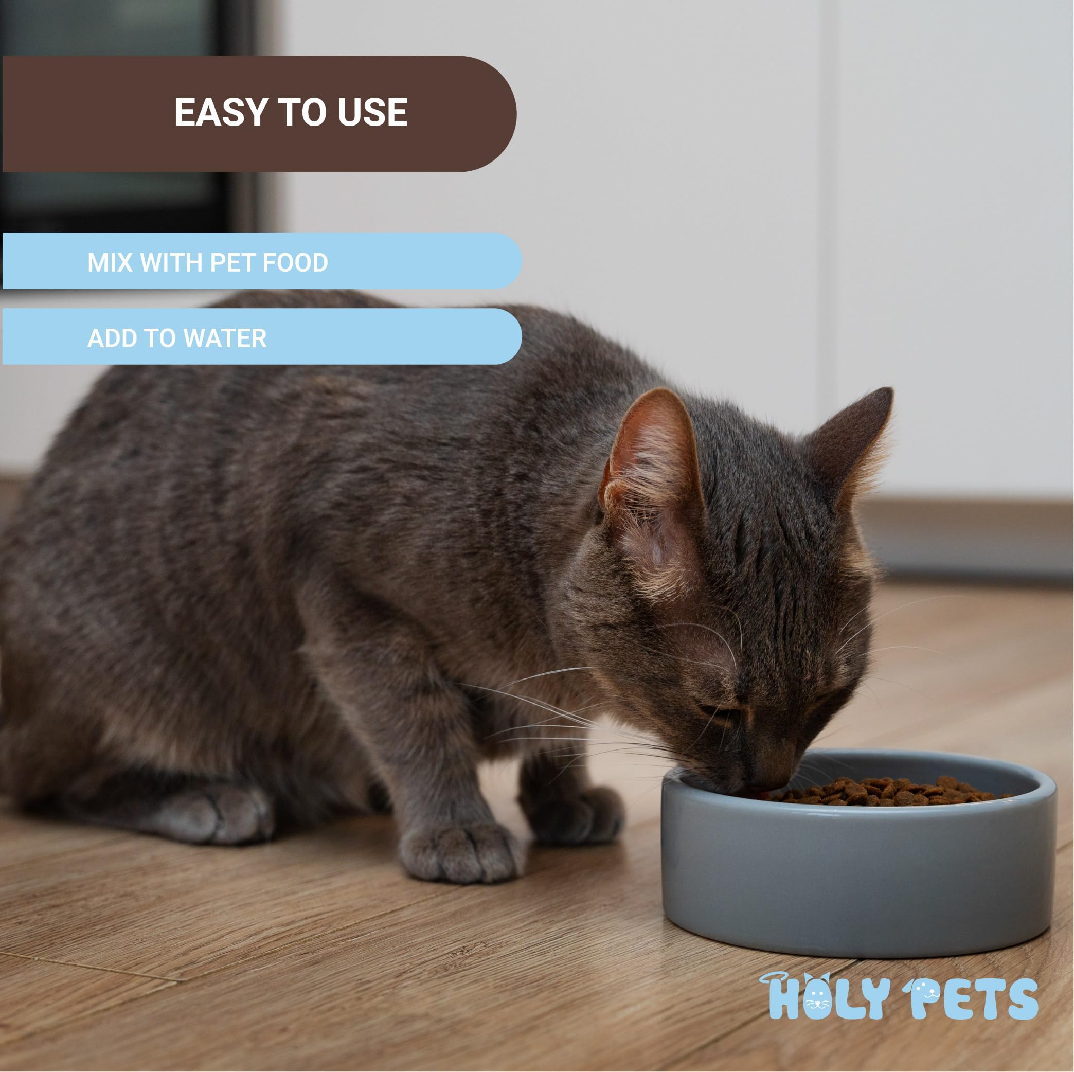 Holy Pets lysine poudre pour chats, parfait pour les foyers avec plusieurs chats.