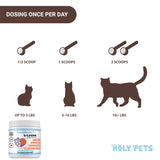 Holy Pets lysine poudre pour chats, idéal pour le bien-être immunitaire des chats.