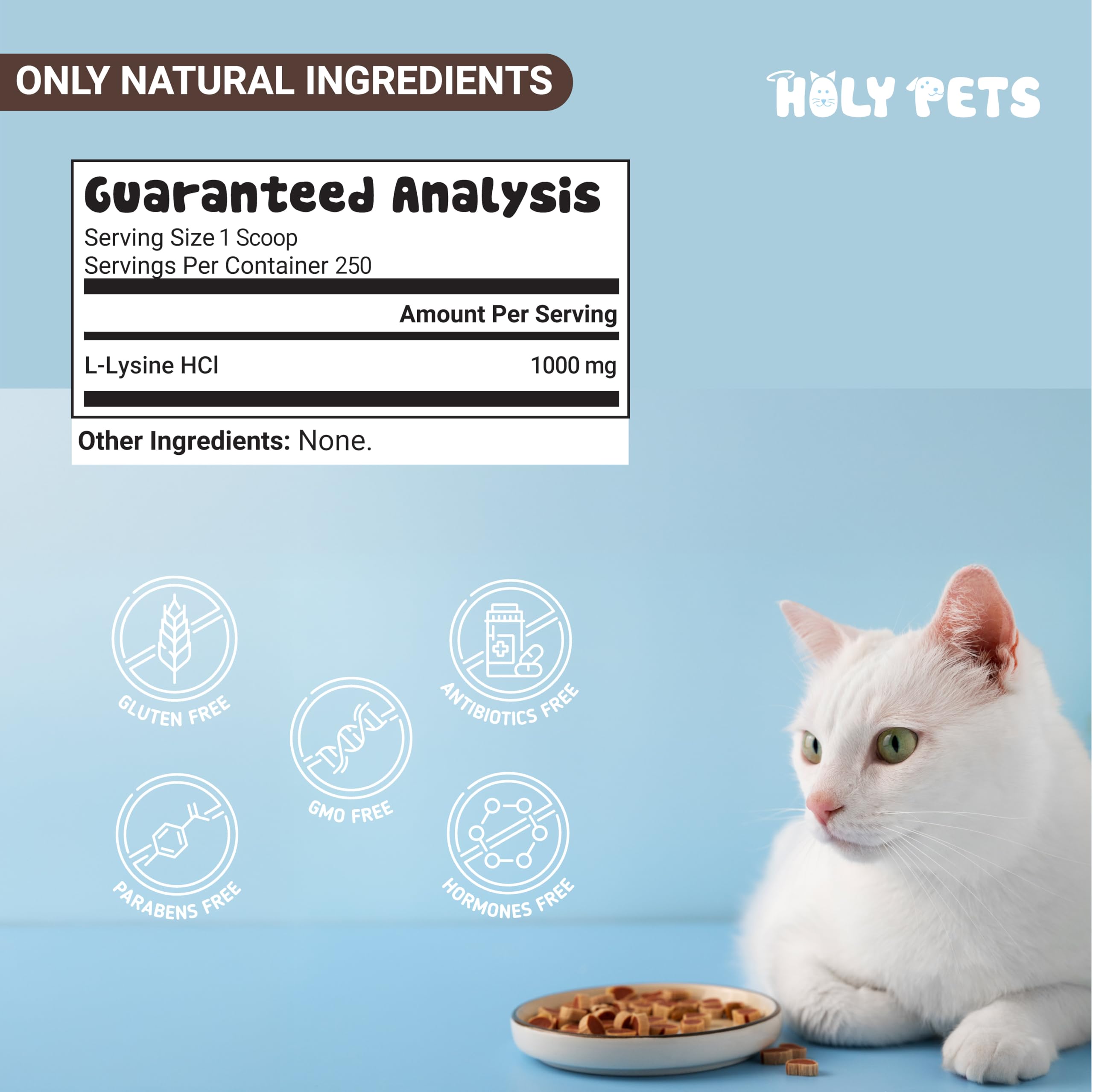 Holy Pets lysine poudre pour chats, usage quotidien simple pour tous les âges.