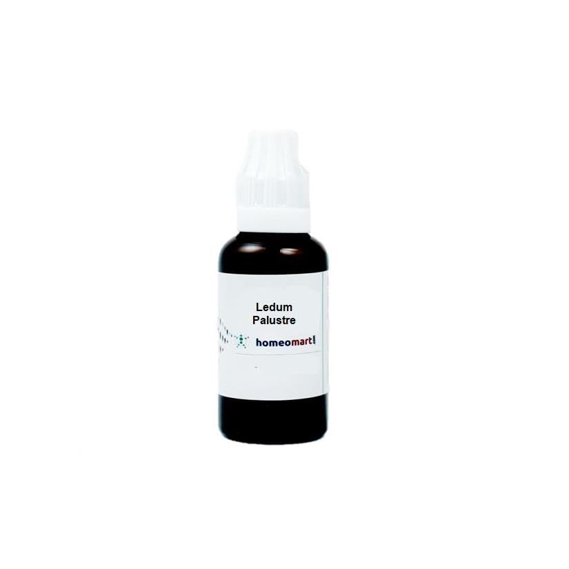 Bouteille Ledum Palustre 200C de Homeomart prête à l’emploi.