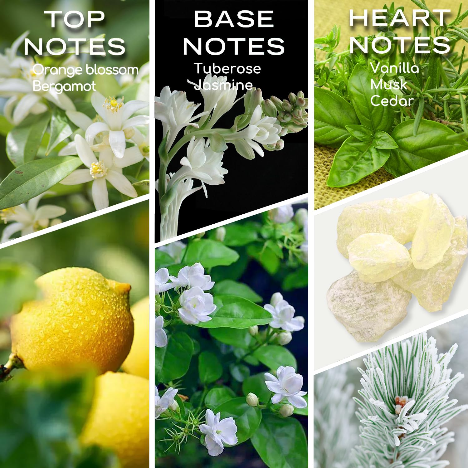 Homnas My Way huile essentielle citron: senteurs fraîches et revitalisantes