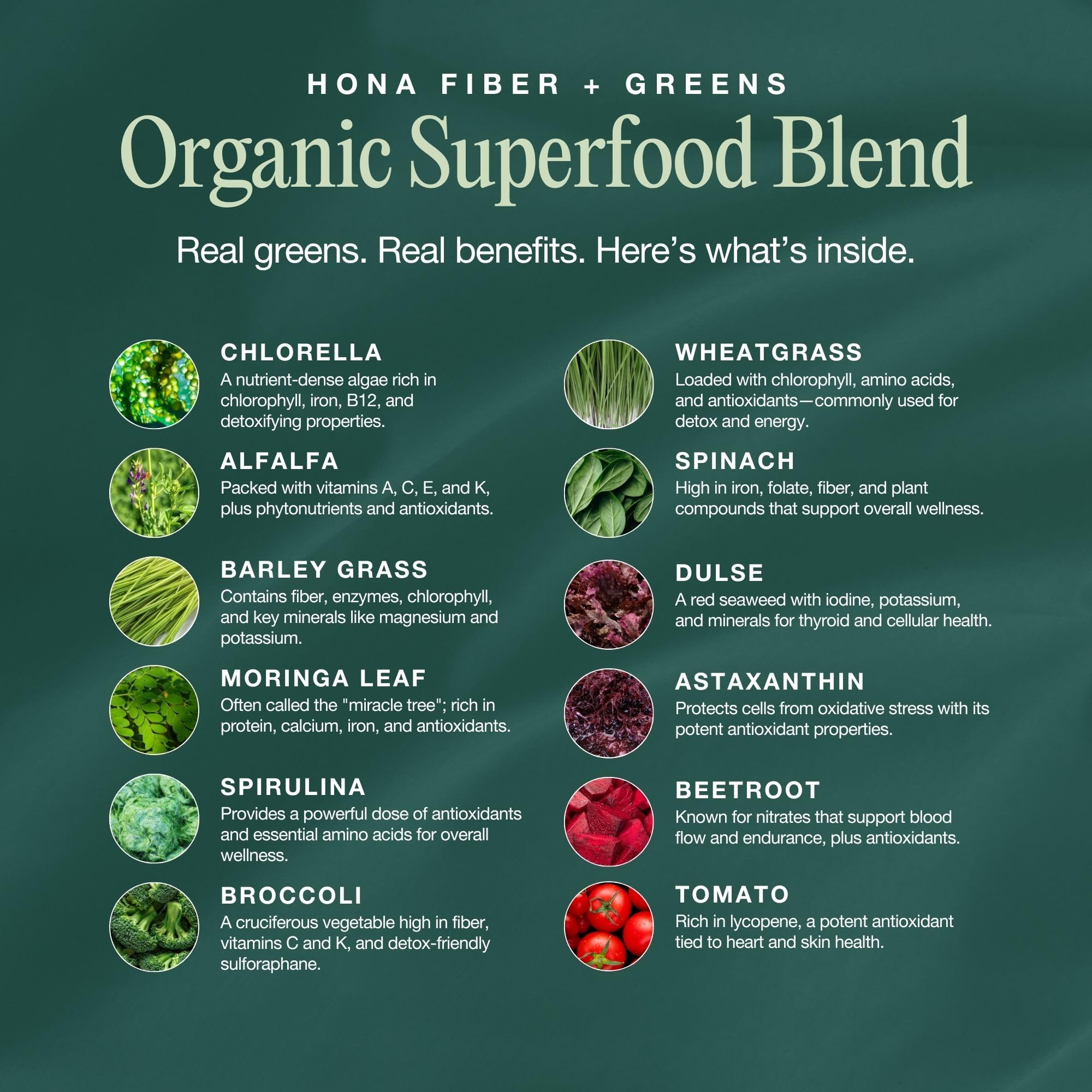 Hona Fiber + Greens poudre verte se dissolvant dans l'eau, boisson nutritive.