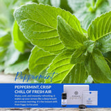 HONÉ Essence kit-portatif menthe, recharge compacte pour voyages.