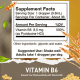 HoneyCombs Vitamine B6 gouttes-versement, prise pratique au quotidien