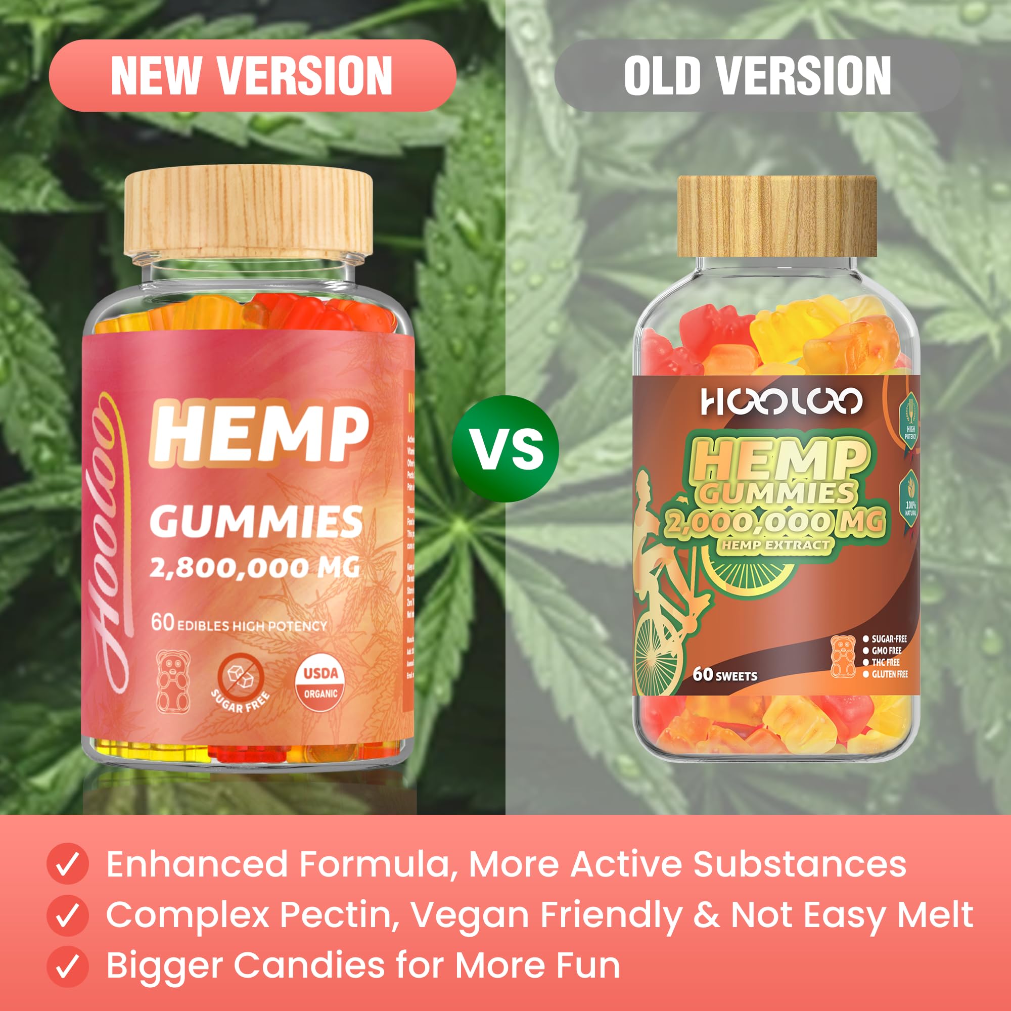 Usage quotidien Hoolo Gummies, soutien concentration et énergie stable.