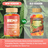 Usage quotidien Hoolo Gummies, soutien concentration et énergie stable.