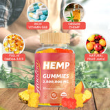 Gummies sans sucre ajouté Hoolo, option gourmande et légère.