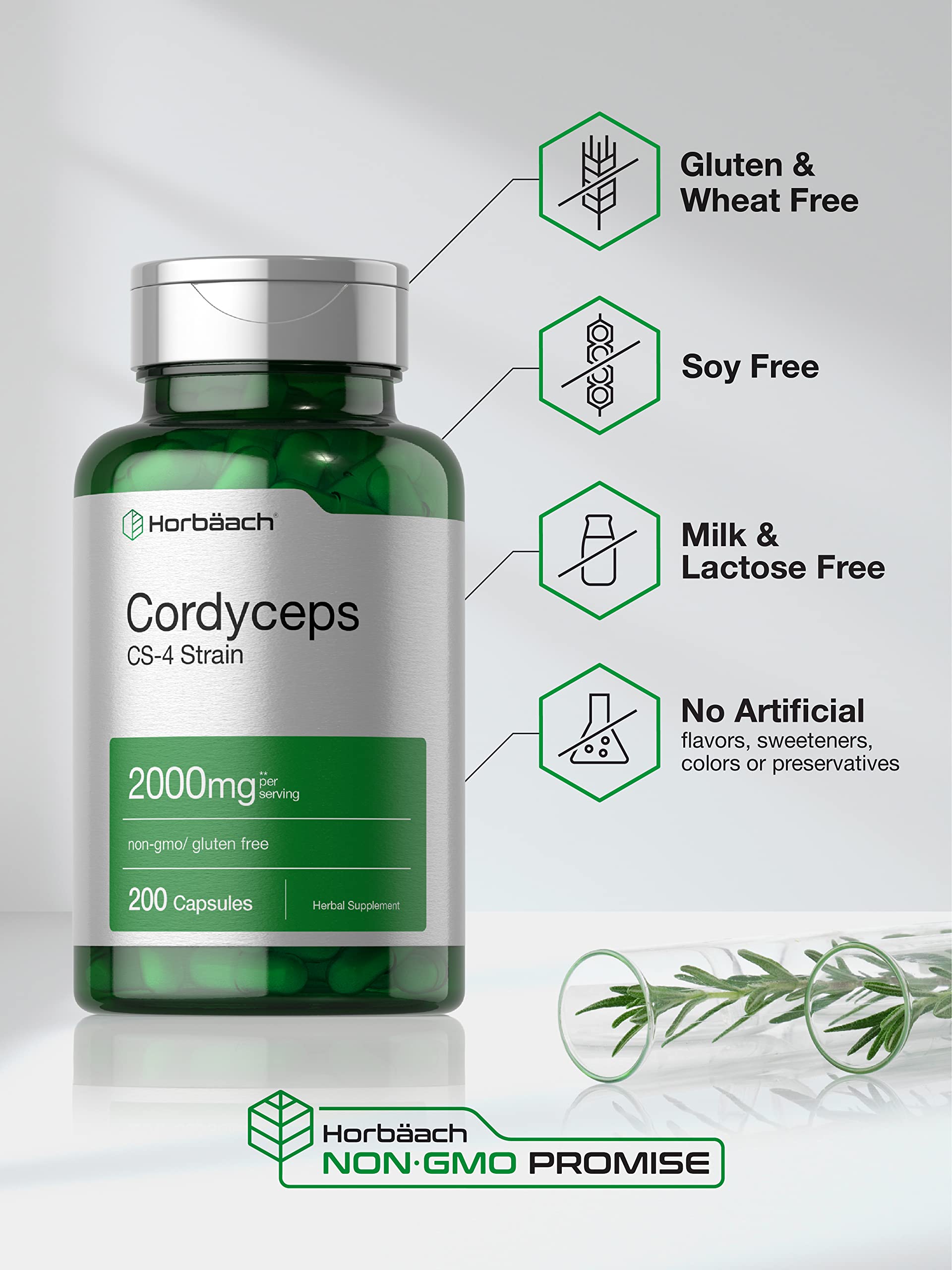 Capsules Cordyceps Horbäach, format simple pour intégration quotidienne.