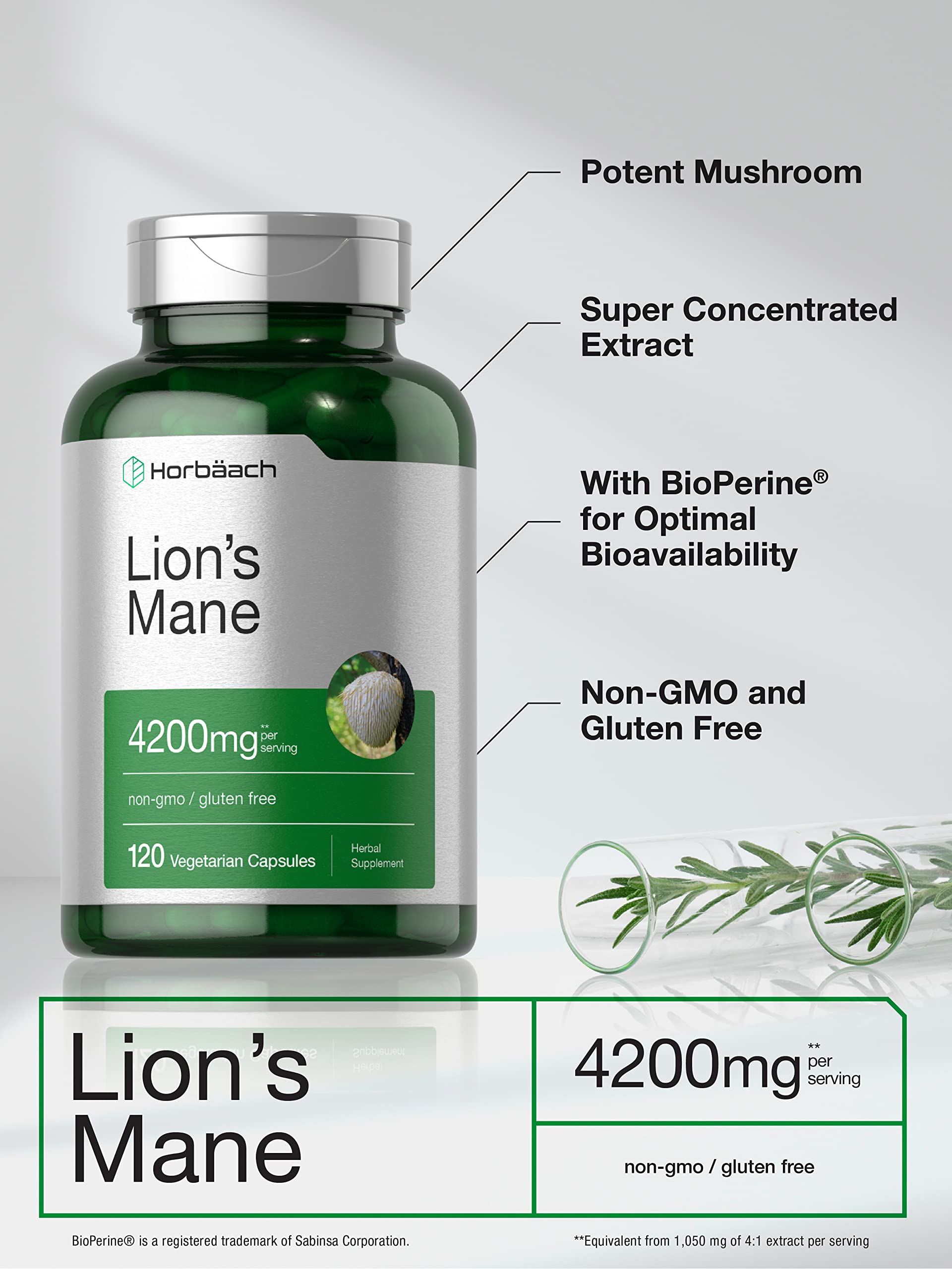 Bouteille Horbäach Crinière de Lion ouverte, facilitant le dosage et le rangement.