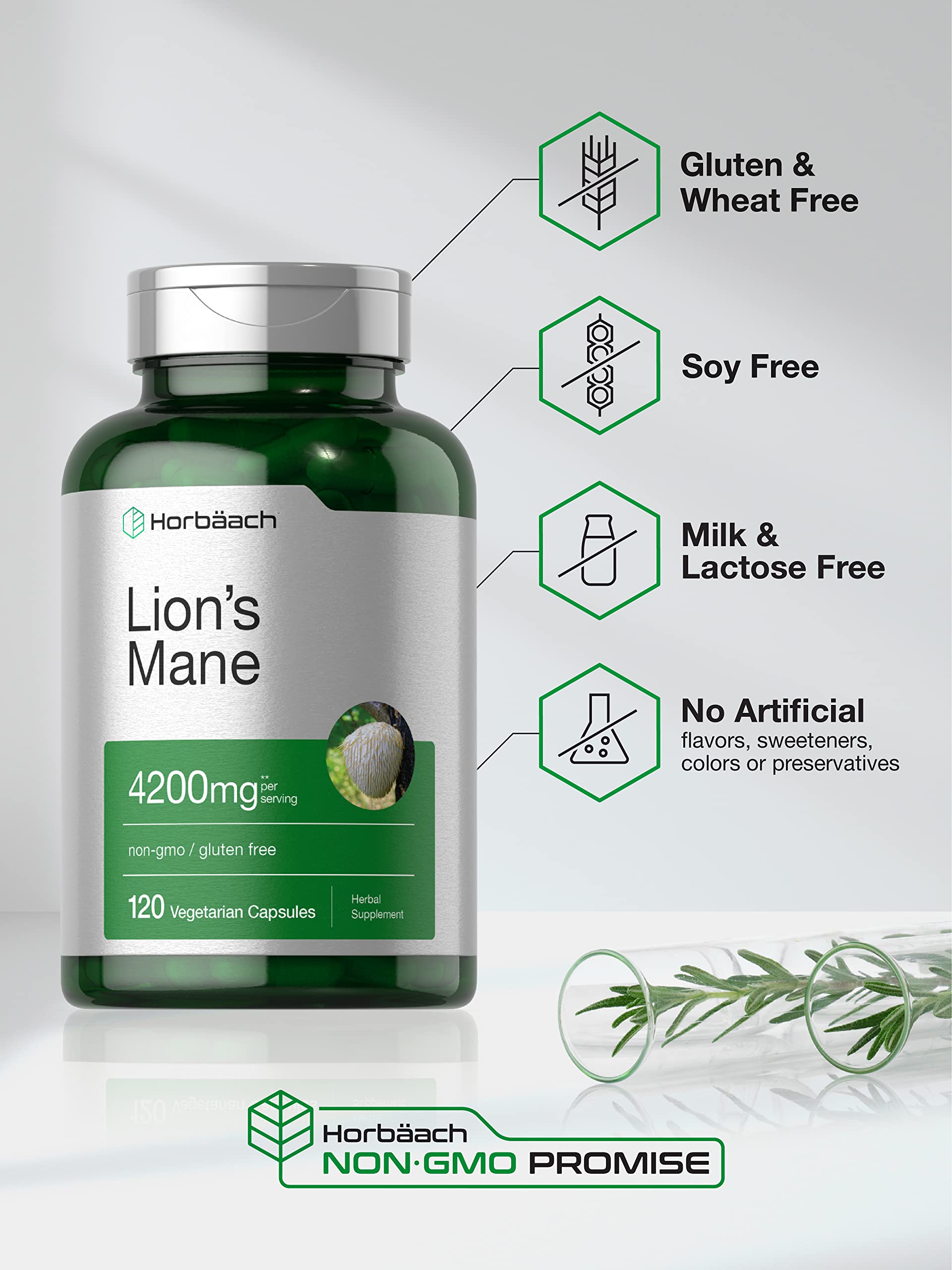 Packaging Horbäach Crinière de Lion, emballage clair et informatif.