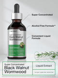 Verre avec Horbaach Extrait Noix Noire Absinthe pour une dégustation simple.