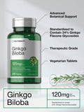 Horbaach Ginkgo Biloba, étiquette ingrédients montre les composants standardisés.