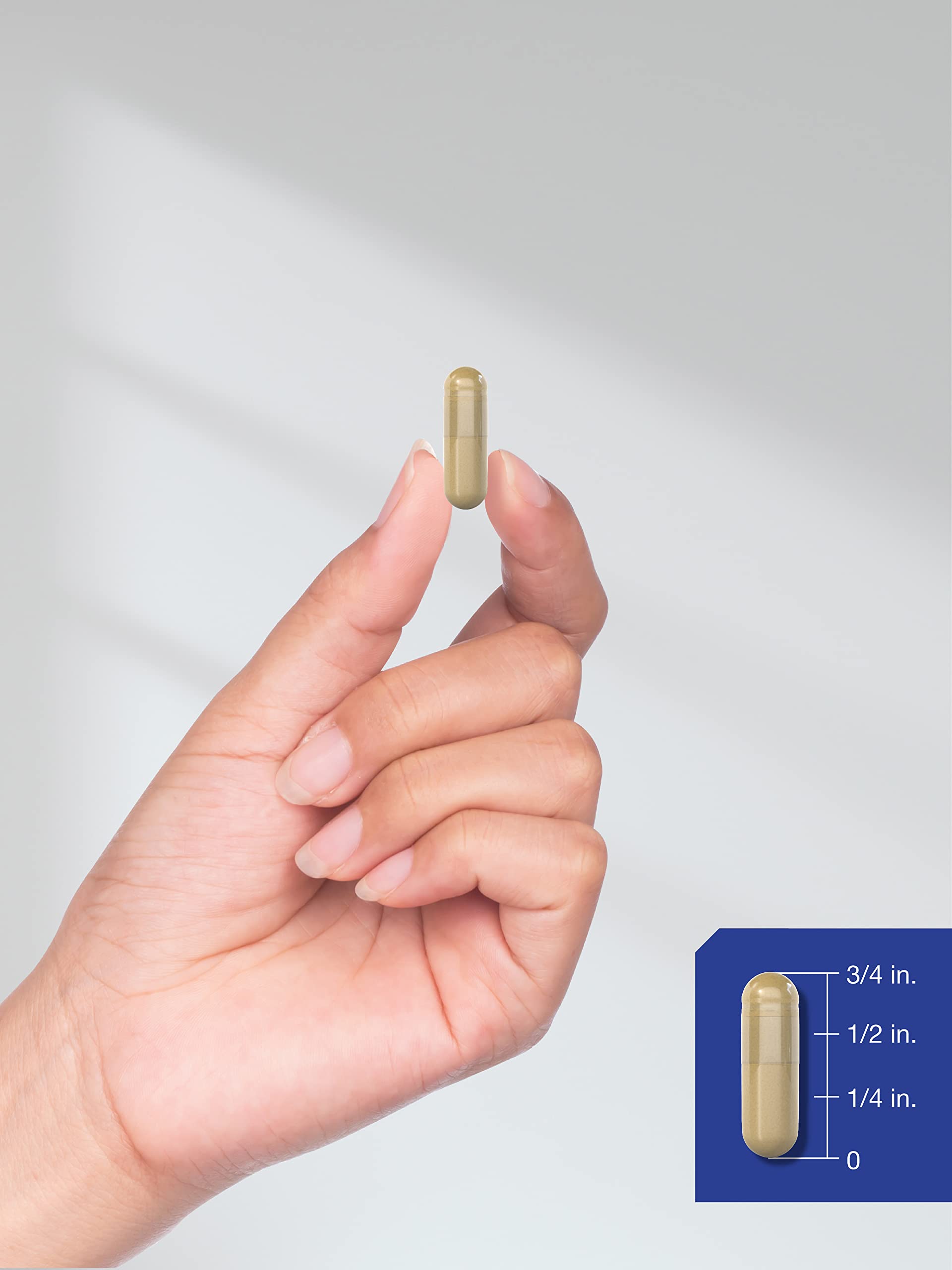 Contrôle qualité Horbäach Huperzine A 400mcg, laboratoire et traçabilité.