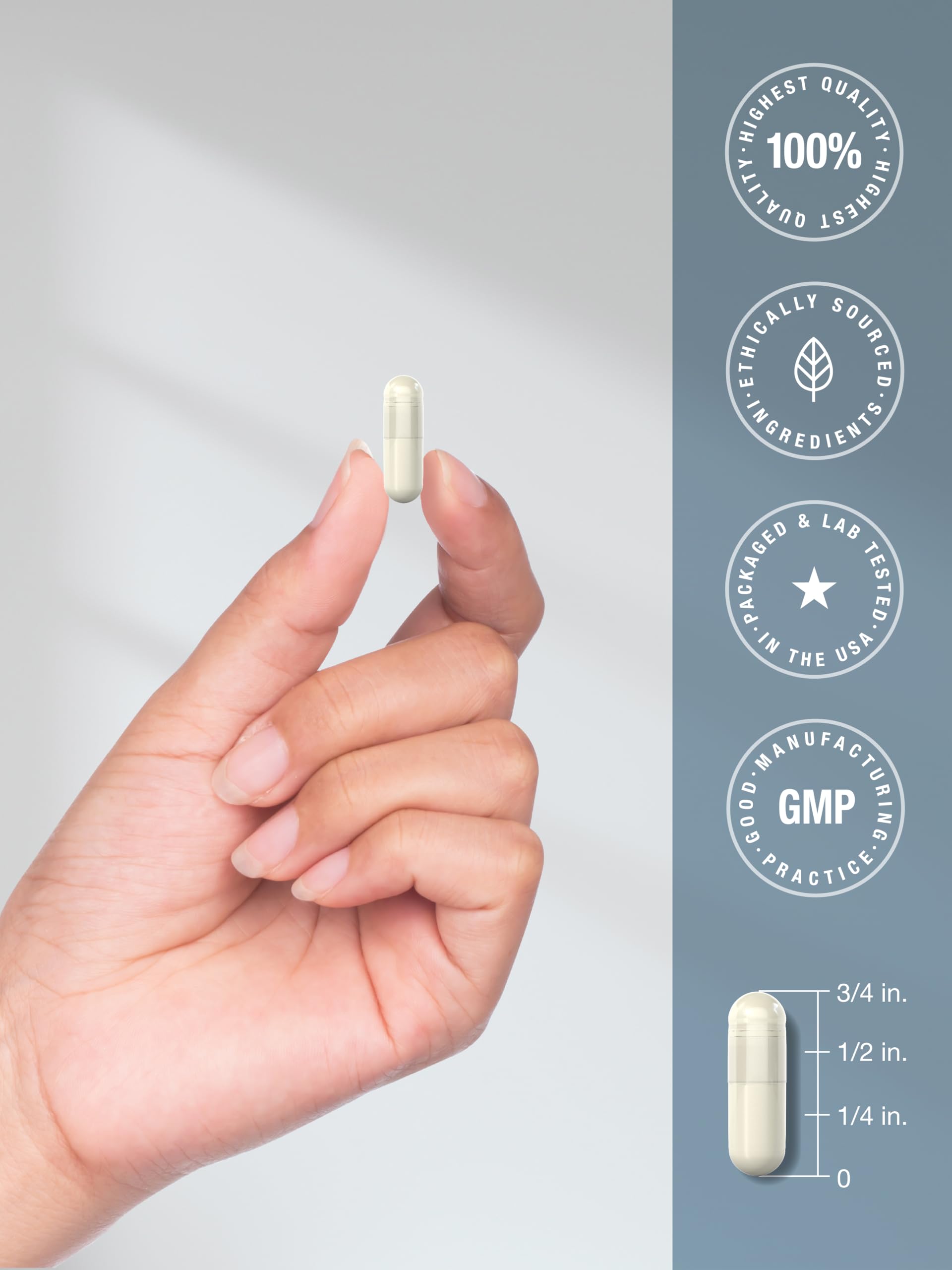 Horbäach Methylfolate utilisation quotidienne recommandée