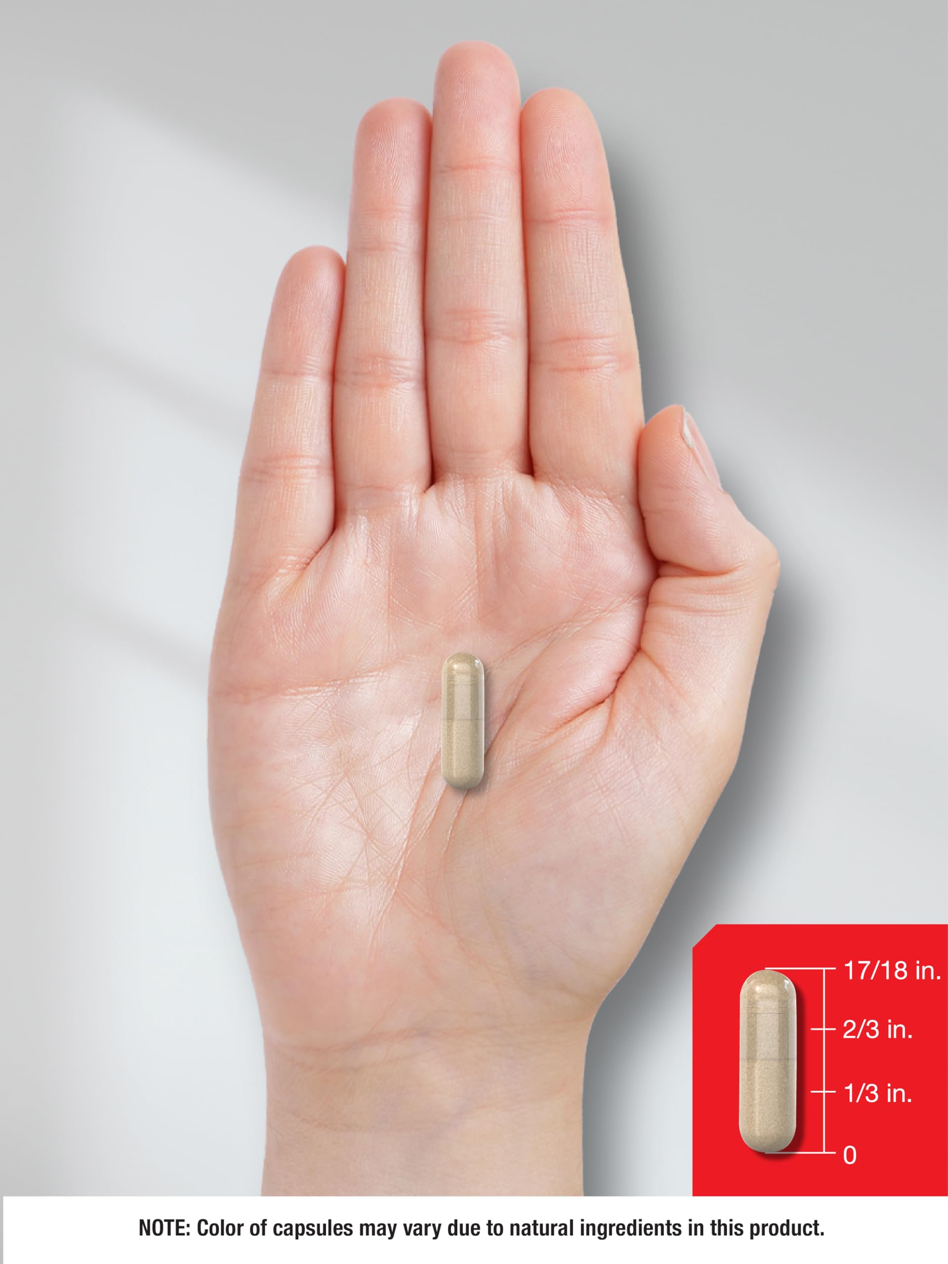 Horbaach Prostate – présentation de 200 capsules prête à l'emploi.
