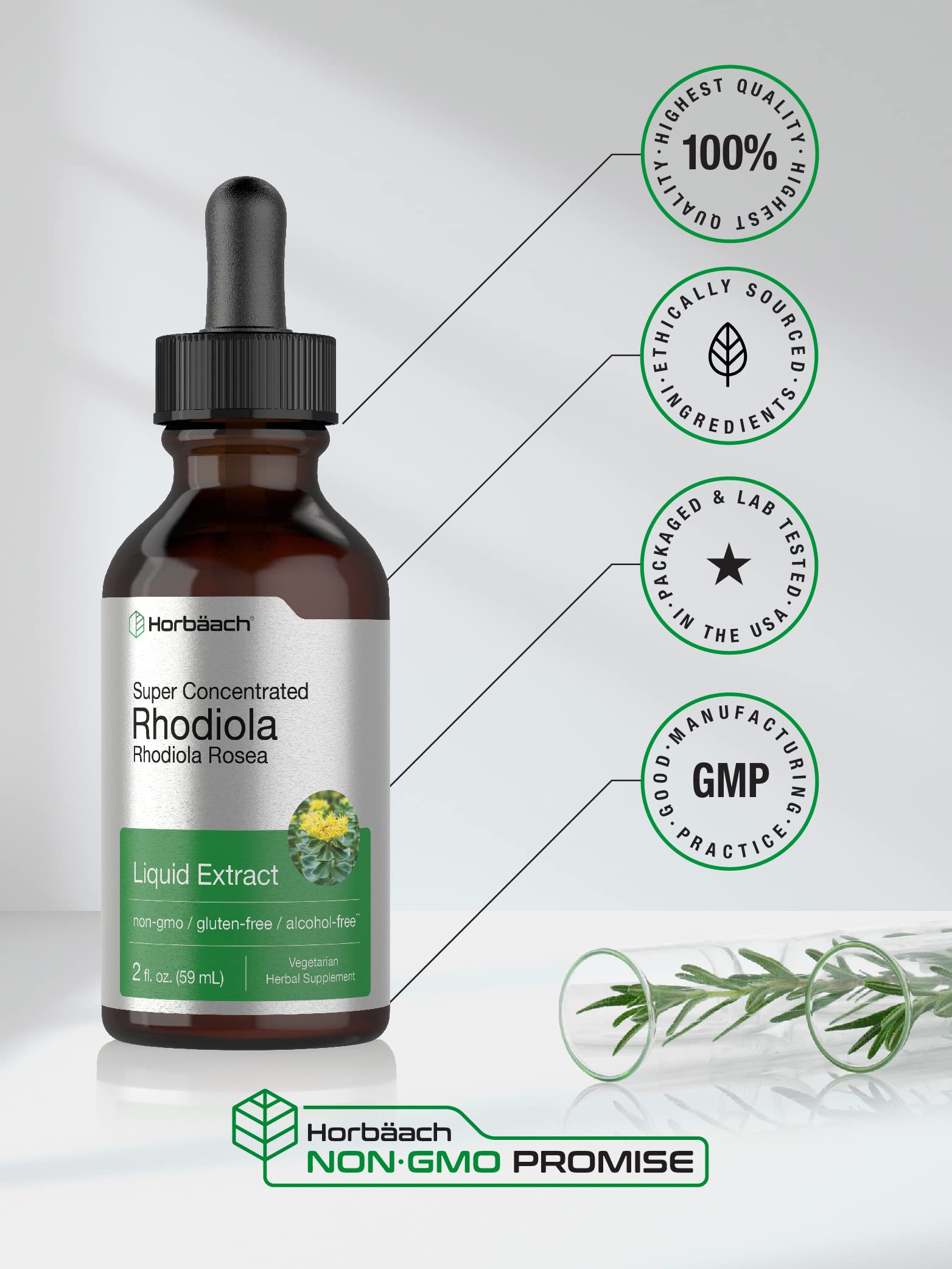 Horbaach Extrait Rhodiola Rosea, bouteille 2 oz sans alcool pour routine quotidienne.