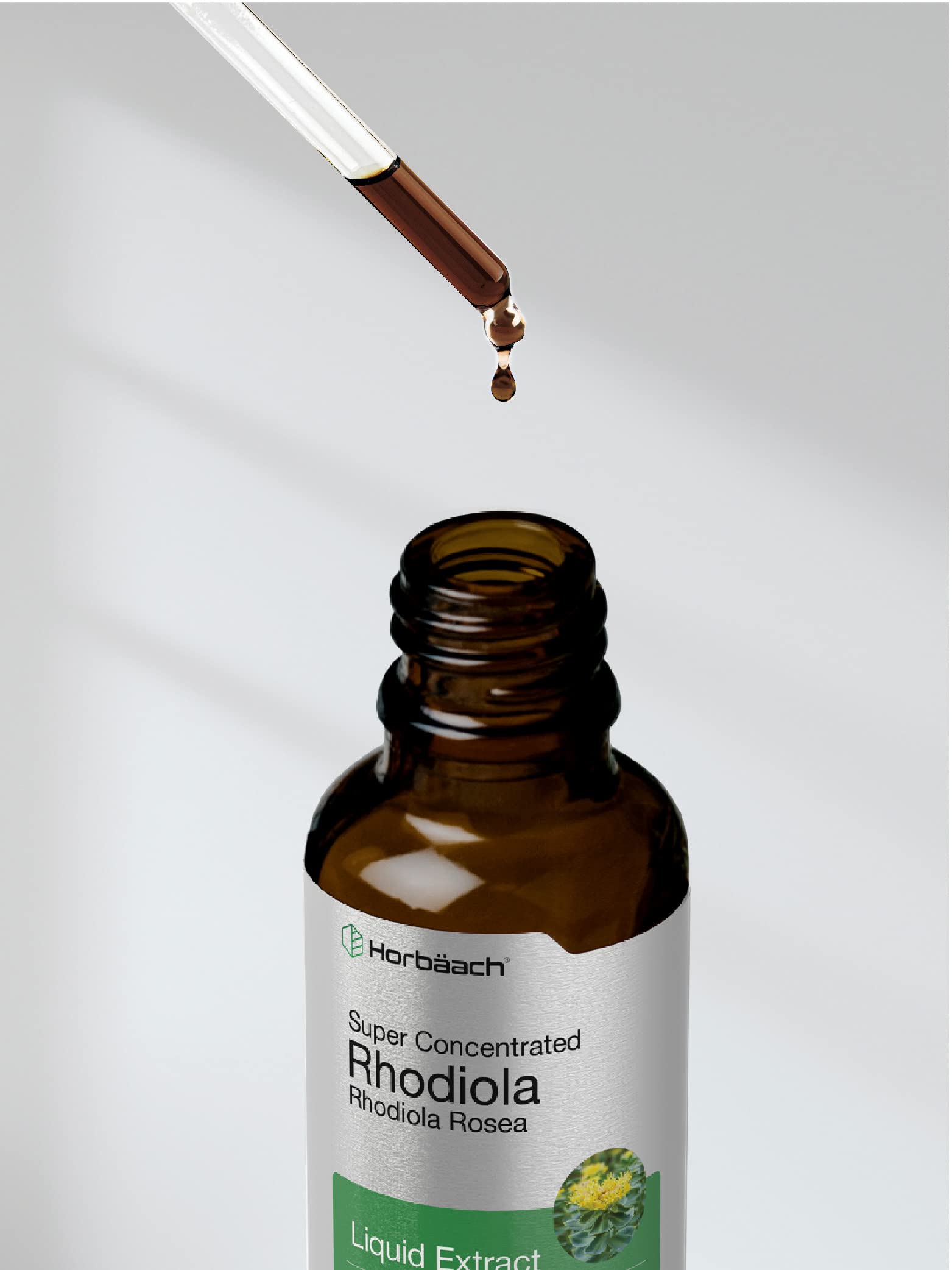 Horbaach Rhodiola Rosea Extrait Sans OGM et Sans Gluten, usage polyvalent.