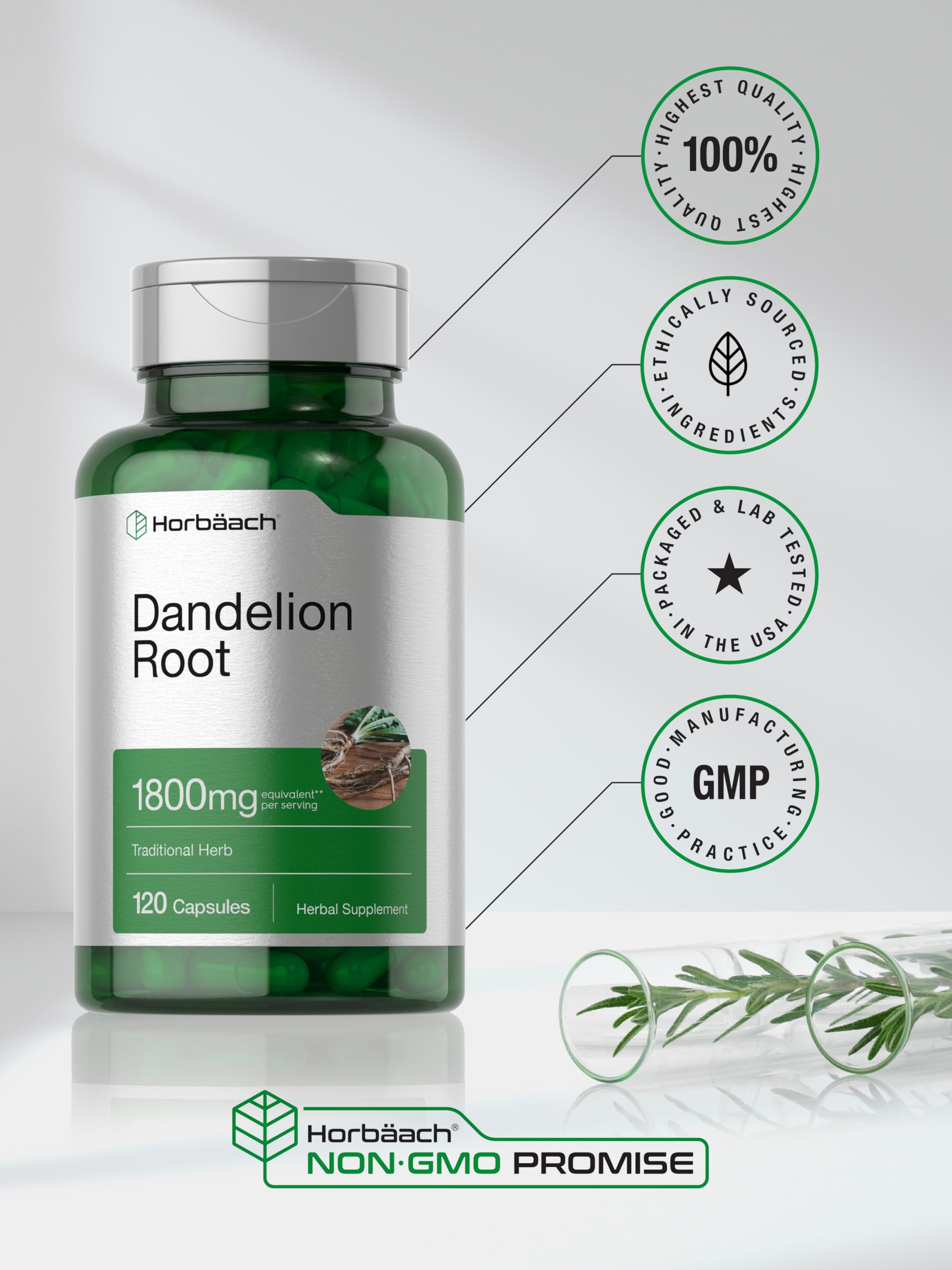 Sans gluten et sans OGM – Horbäach Dandelion Root pour sécurité.