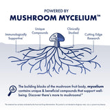 Main tenant la bouteille Host Defense Agarikon, démontrant une routine immunitaire quotidienne possible.