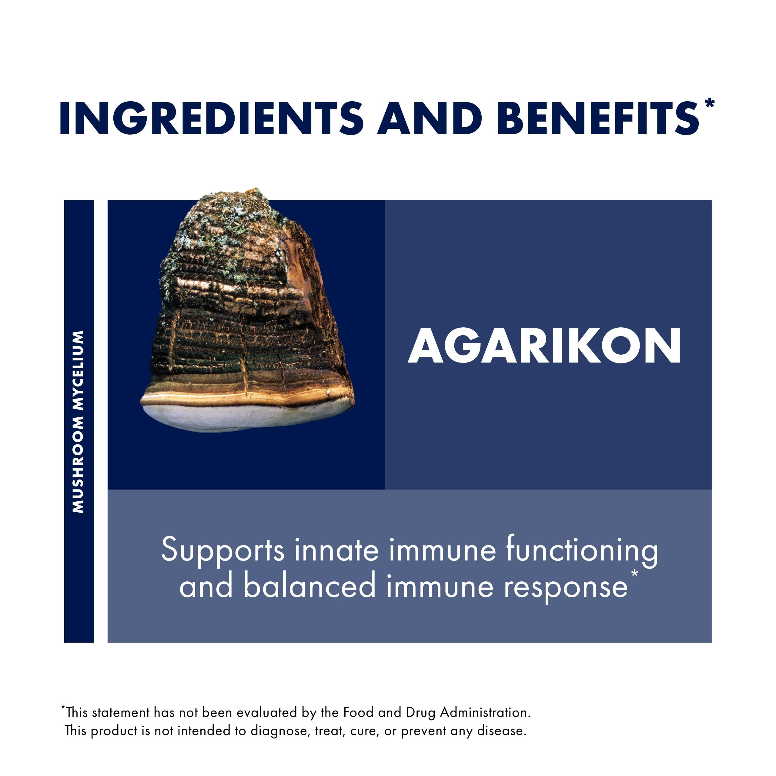 Host Defense Agarikon capsules – contenu sans gluten et formulation naturelle.
