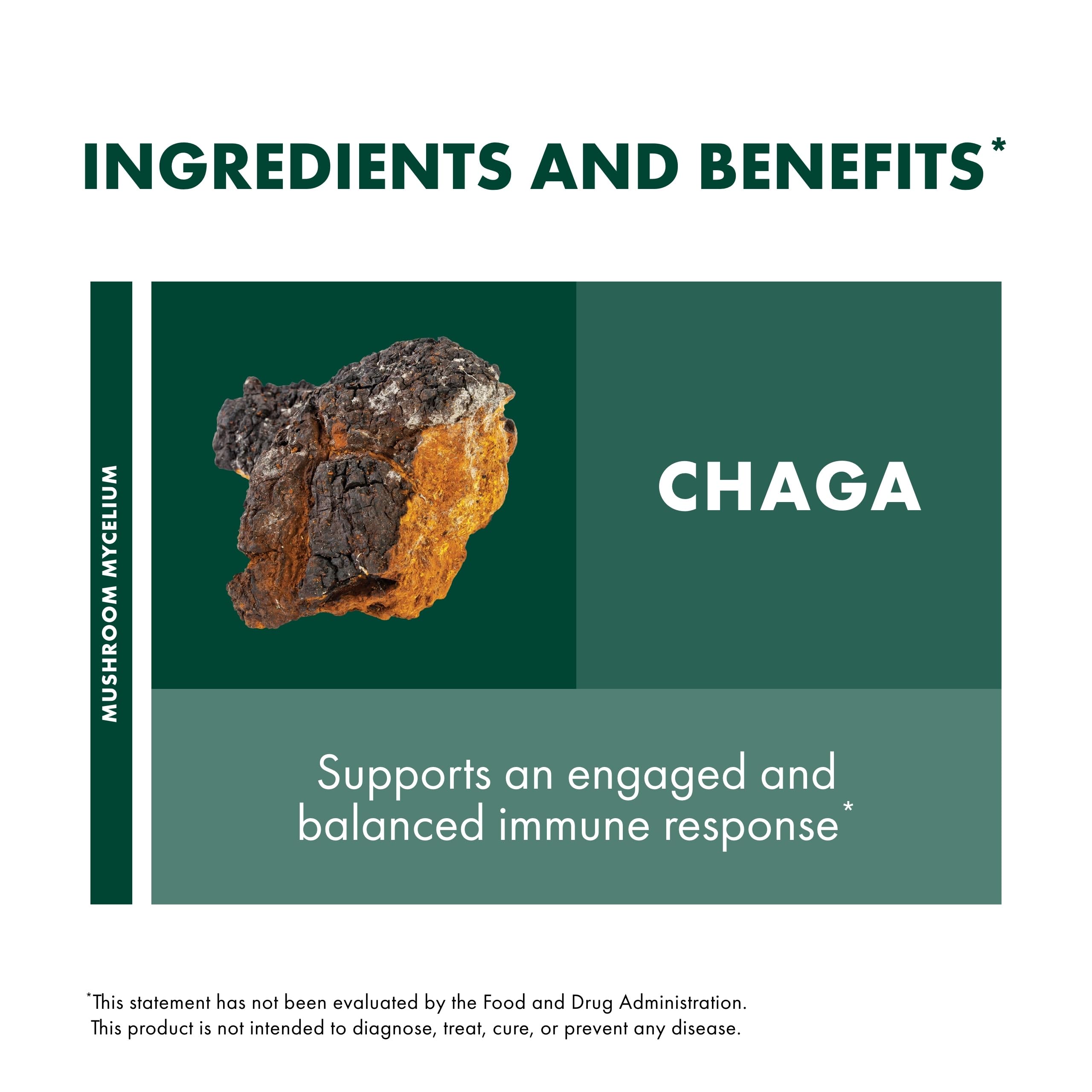 Host Defense Chaga Extract, mycelium biologique sur riz brun, origine naturelle.