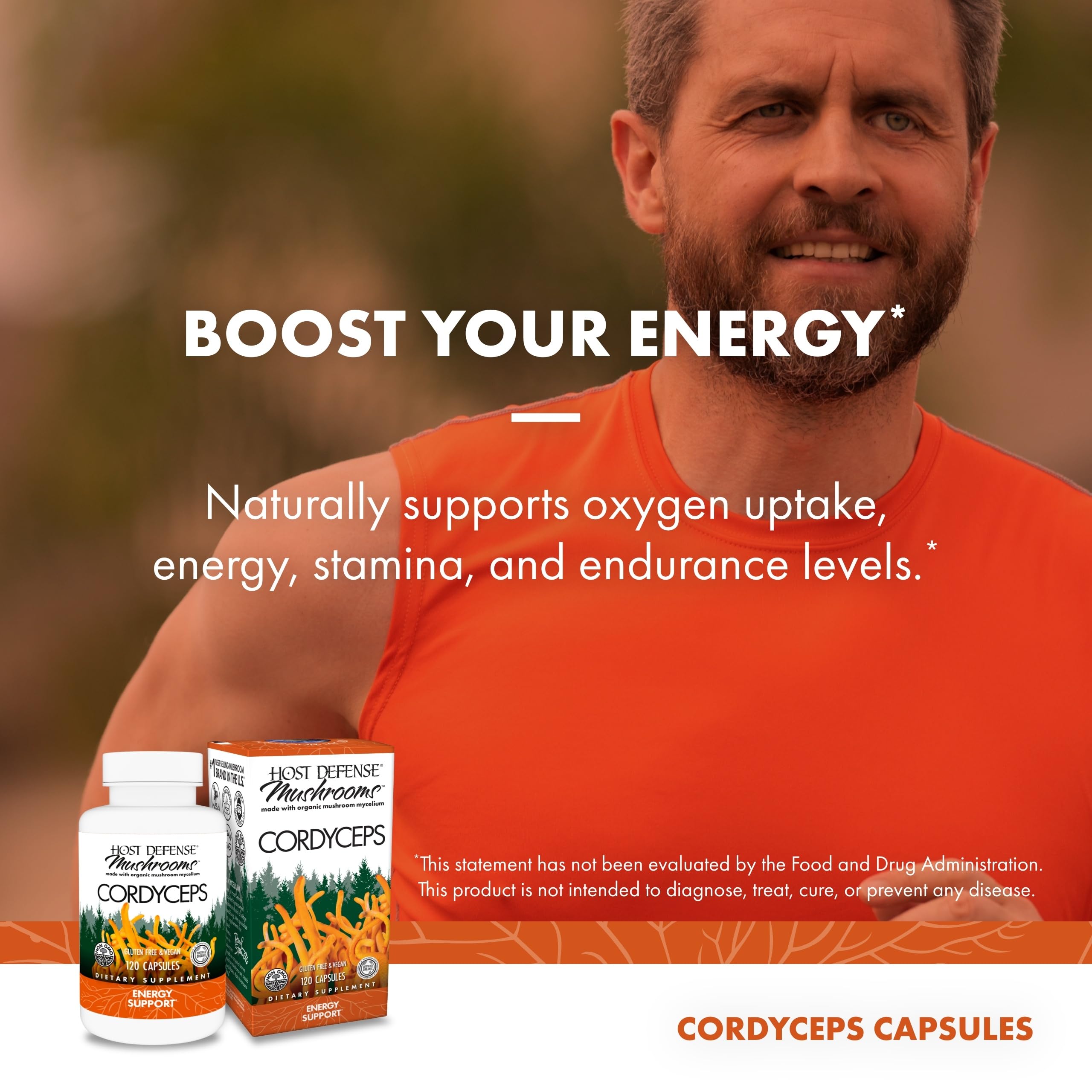 Host Defense Cordyceps: cadre tableau utilisation quotidien pour un rituel simple