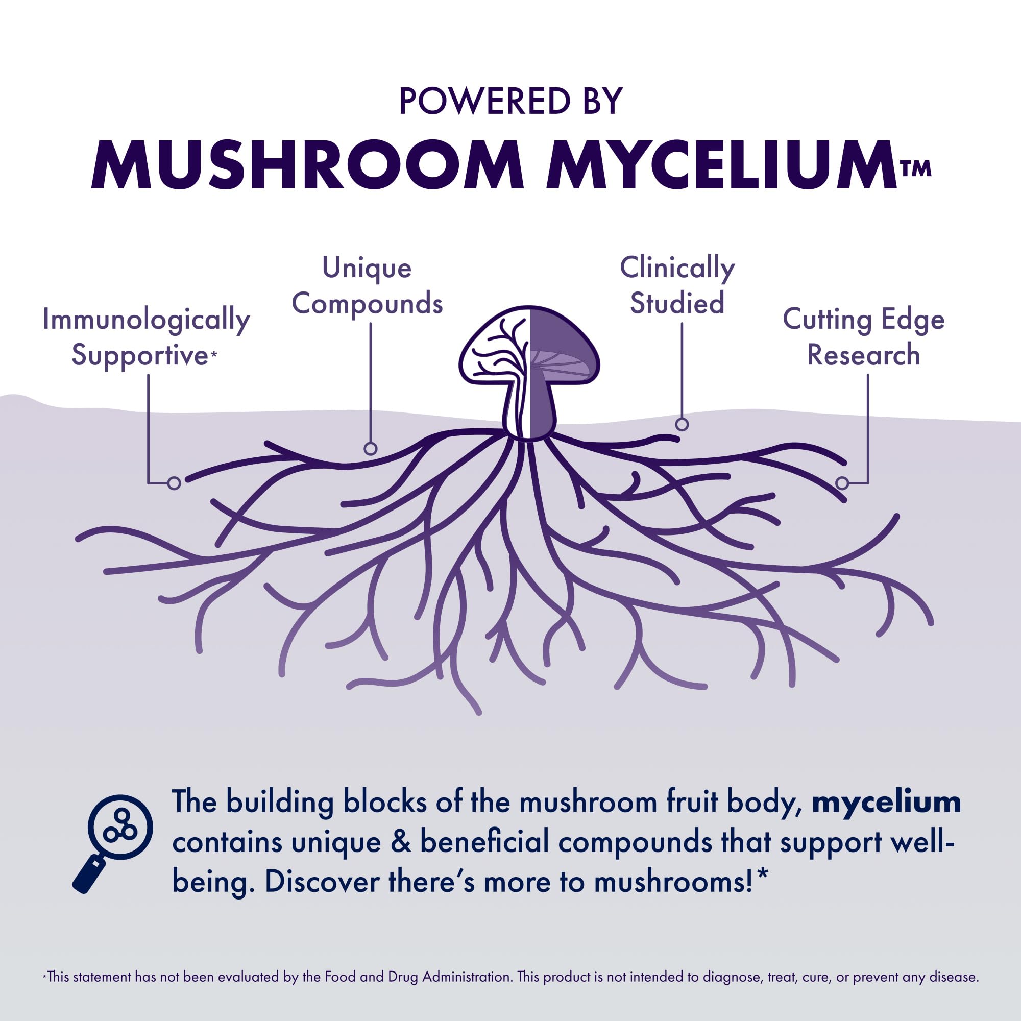 Host Defense cordyceps: énergie mentale et vitalité pour la journée.