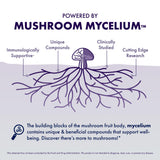 Host Defense cordyceps: énergie mentale et vitalité pour la journée.