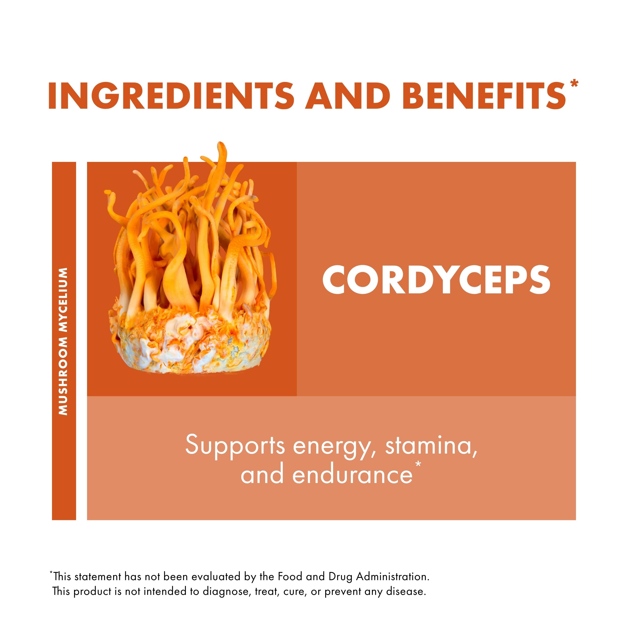 Host Defense Extrait de Cordyceps – Utilisation quotidienne : pratique pour intégrer ce complément à vos habitudes.