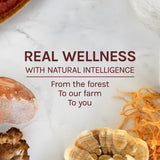 Host Defense Maitake Extract sans OGM et sans gluten, produit biologique