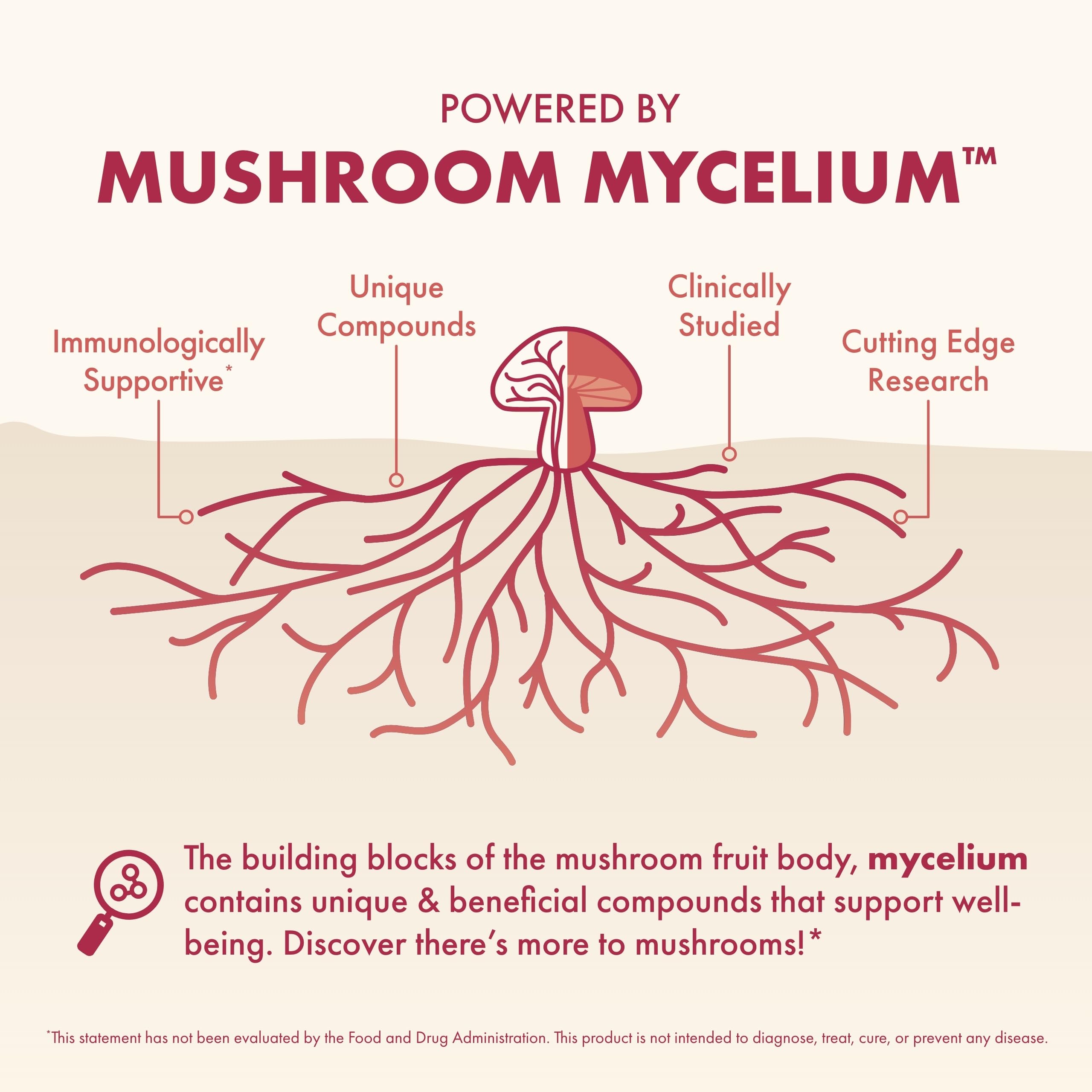 Host Defense MycoBenefits ingrédients-chaga — association naturelle pour le soutien beauté.
