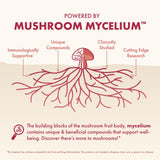 Host Defense MycoBenefits ingrédients-chaga — association naturelle pour le soutien beauté.