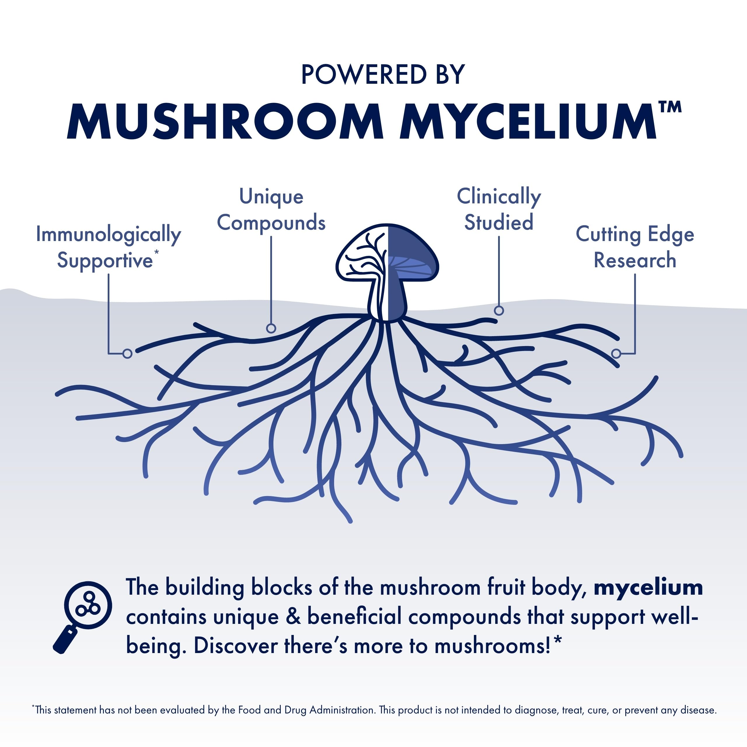 Host Defense MycoBotanicals Mélange Chaga-Reishi-Maitake offre un goût terreux et riche