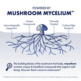 Host Defense MycoBotanicals Mélange Chaga-Reishi-Maitake offre un goût terreux et riche