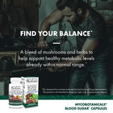 Mycélium de champignon sur substrat riz biologique.