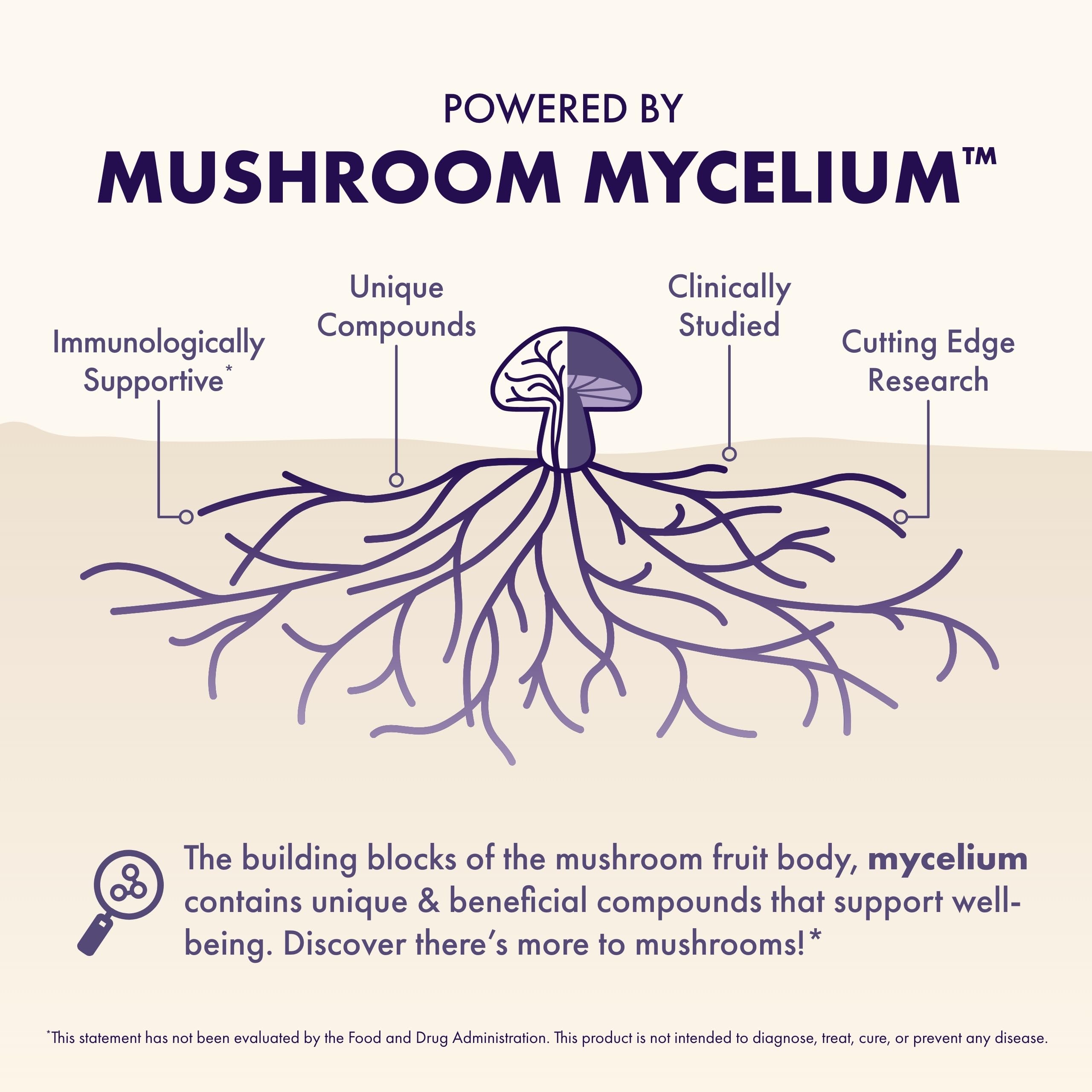 Ingrédients clés: Lion’s Mane, Reishi et vitamines pour la clarté mentale.
