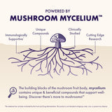 Ingrédients clés: Lion’s Mane, Reishi et vitamines pour la clarté mentale.