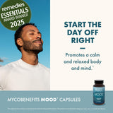 Ingrédient ashwagandha dans MycoBenefits Mood pour équilibre émotionnel.