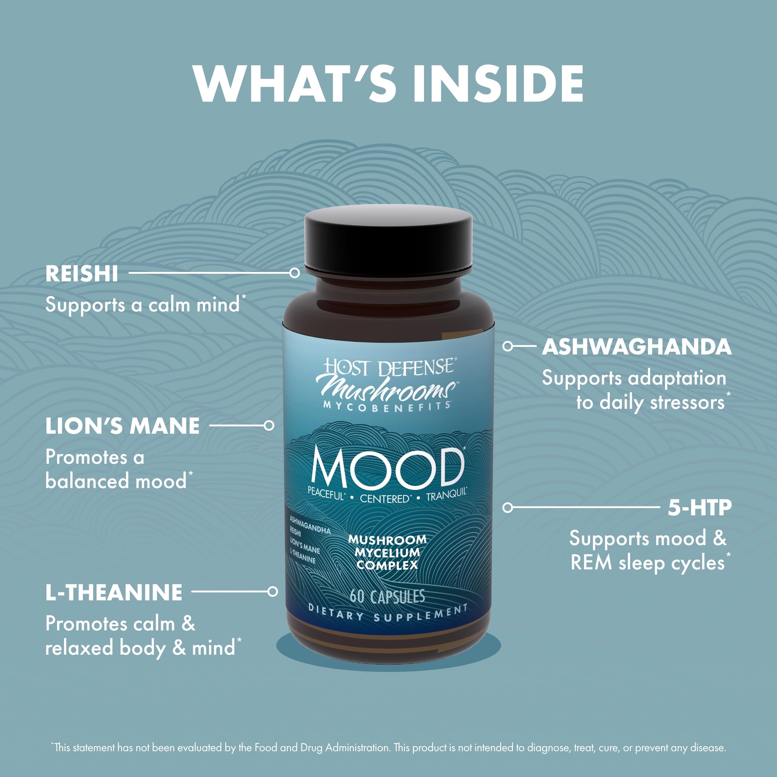 Mode d’emploi quotidien de MycoBenefits Mood avec les capsules.