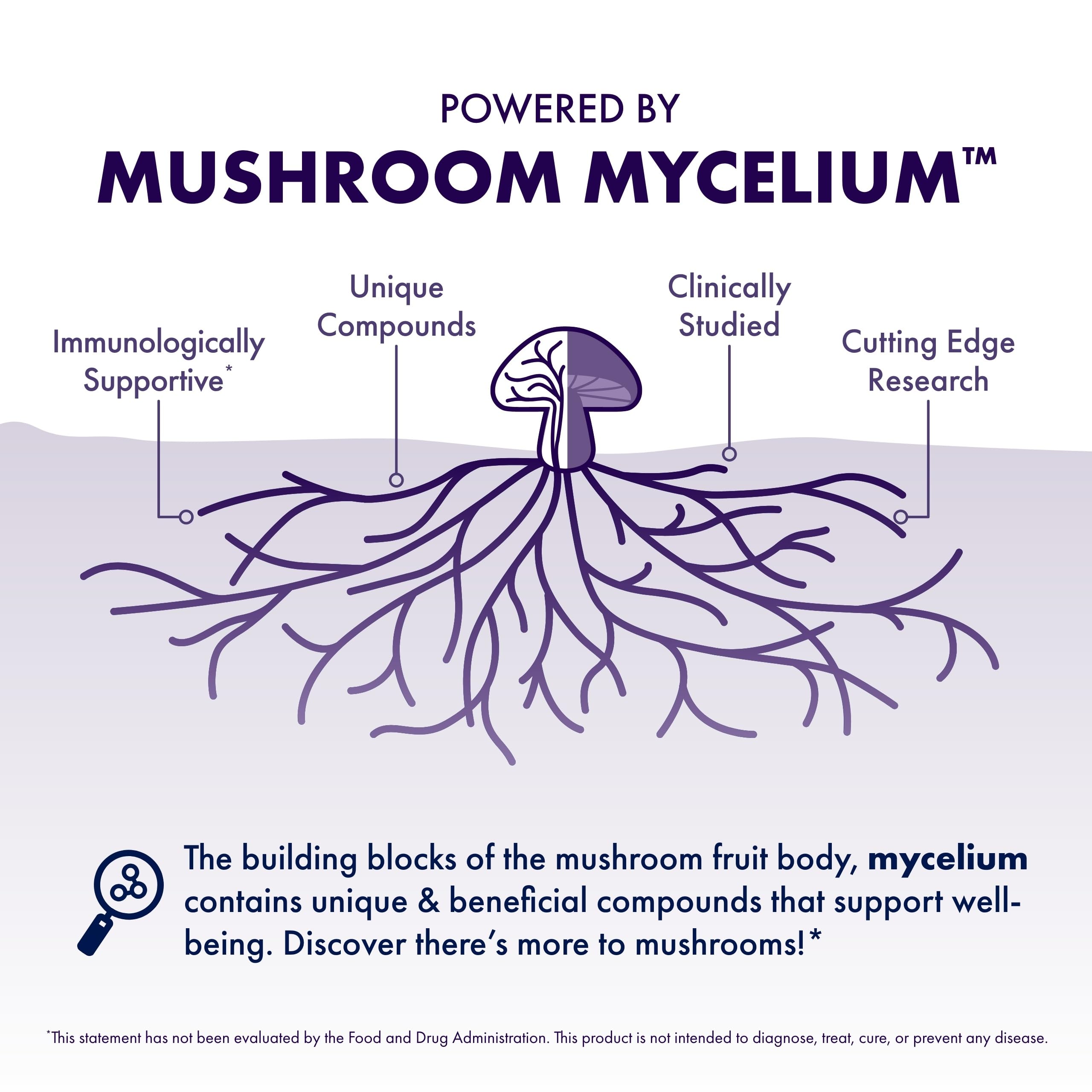 Host Defense MycoBotanicals Brain et Corps poudre, Hericium erinaceus crinière de lion en vue.