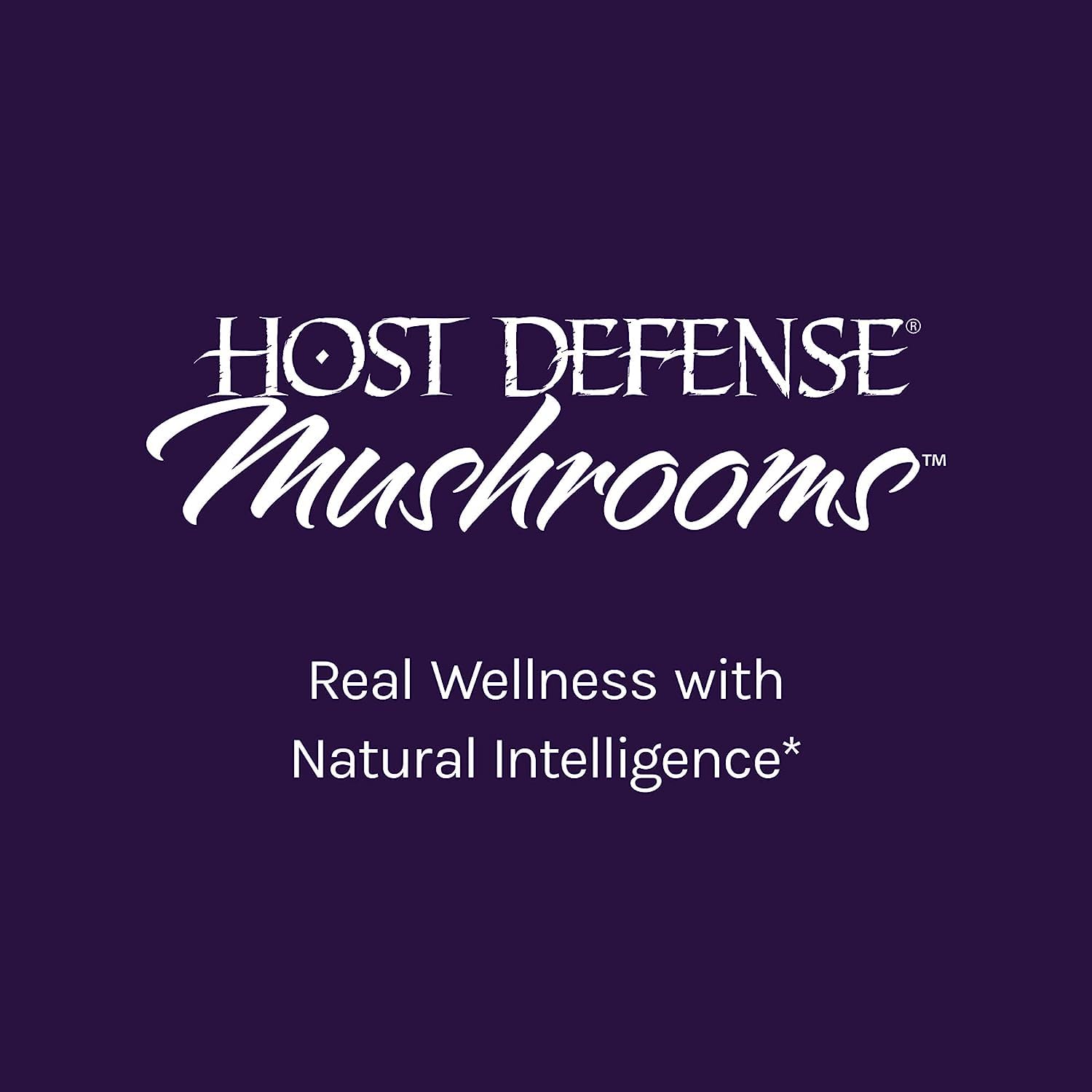 Host Defense MycoBotanicals Brain et Corps poudre, planche de travail avec cuillère doseuse.
