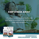 Host Defense MycoBotanicals Scutellaire aide relaxante pour le calme intérieur