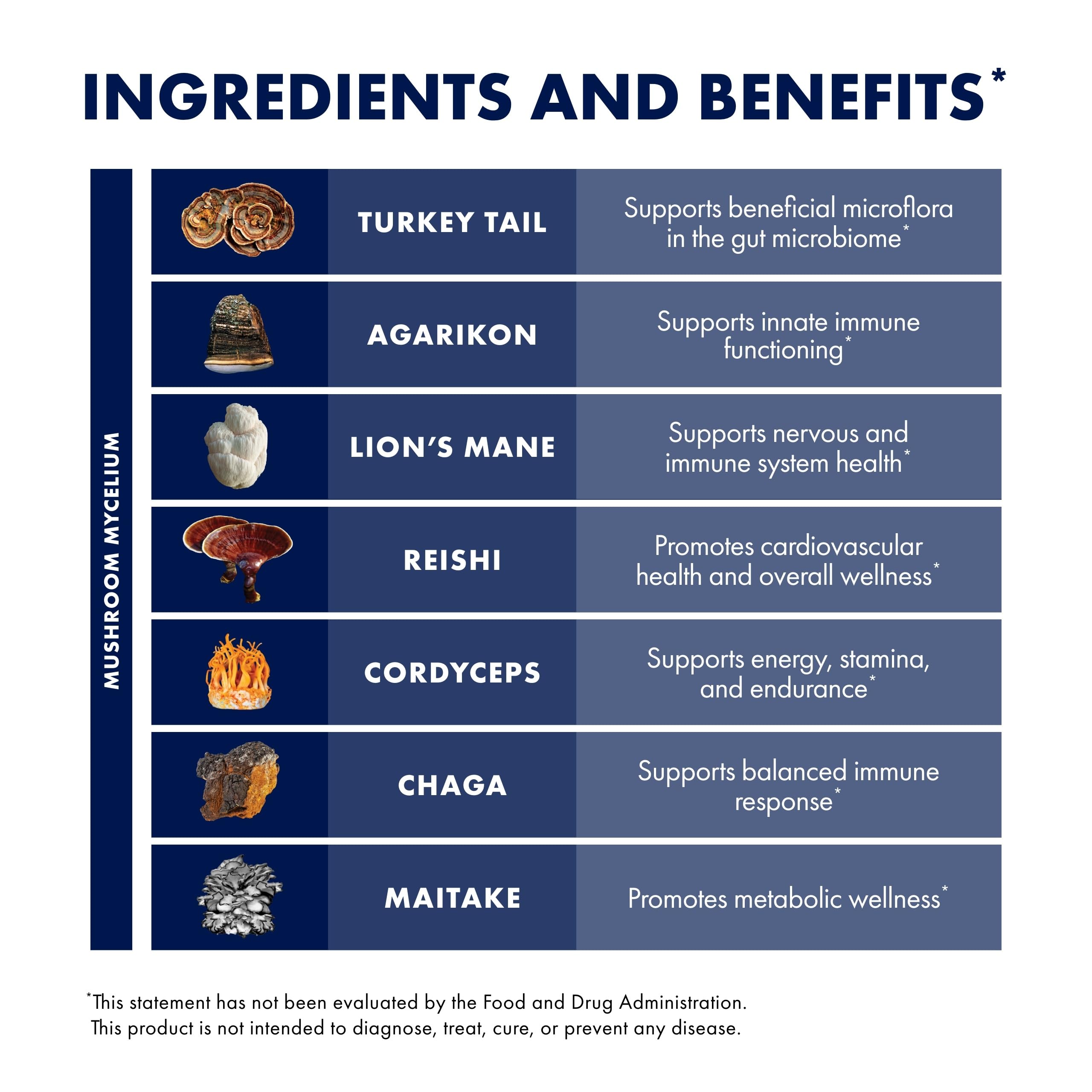 Host Defense MyCommunity Capsules, chaga visible, richesse de champignons pour votre routine.