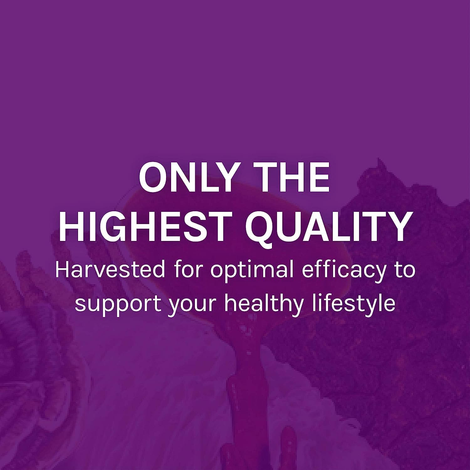 Host Defense MyCommunity Extract : utilisation quotidienne en gouttes, facile et pratique.