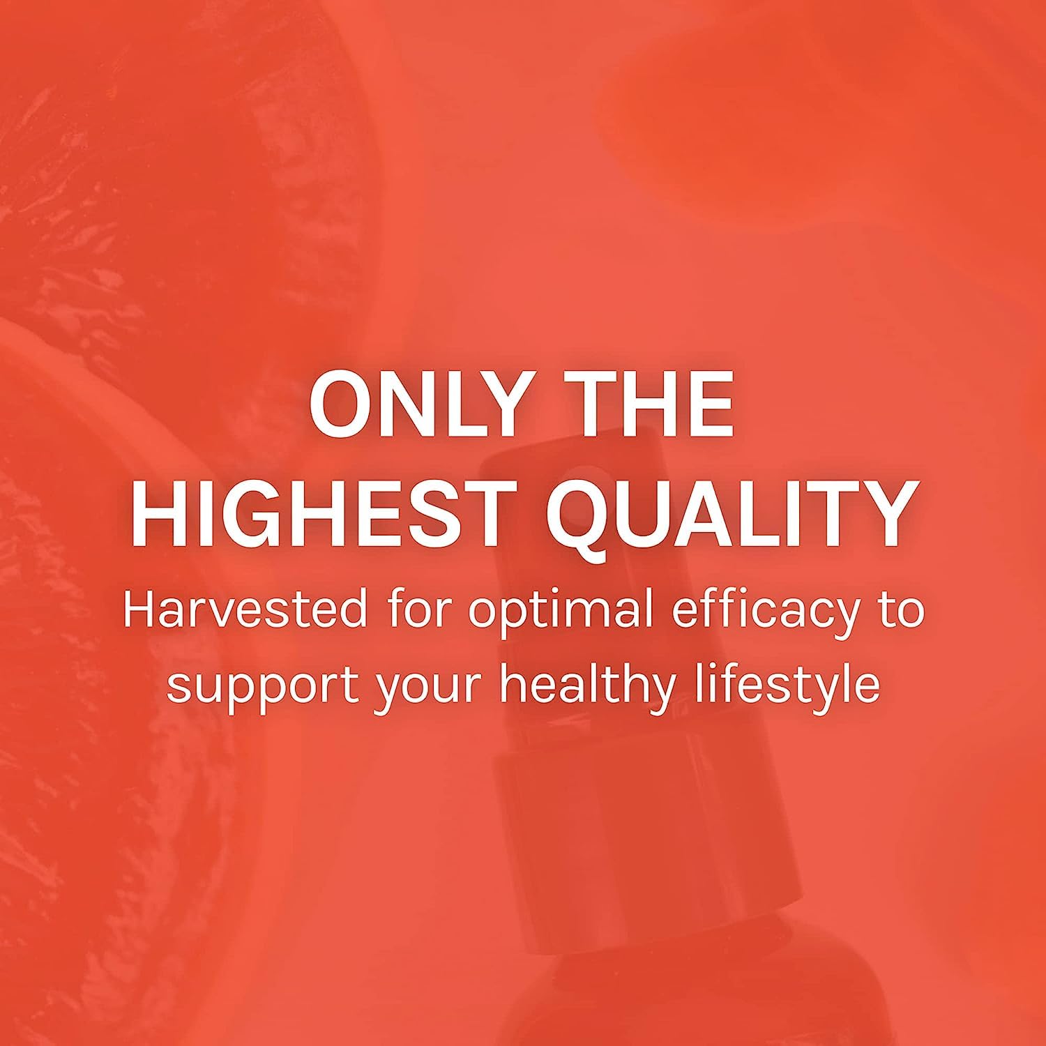 Emballage MycoShield fabriqué aux États‑Unis avec champignons biologiques.