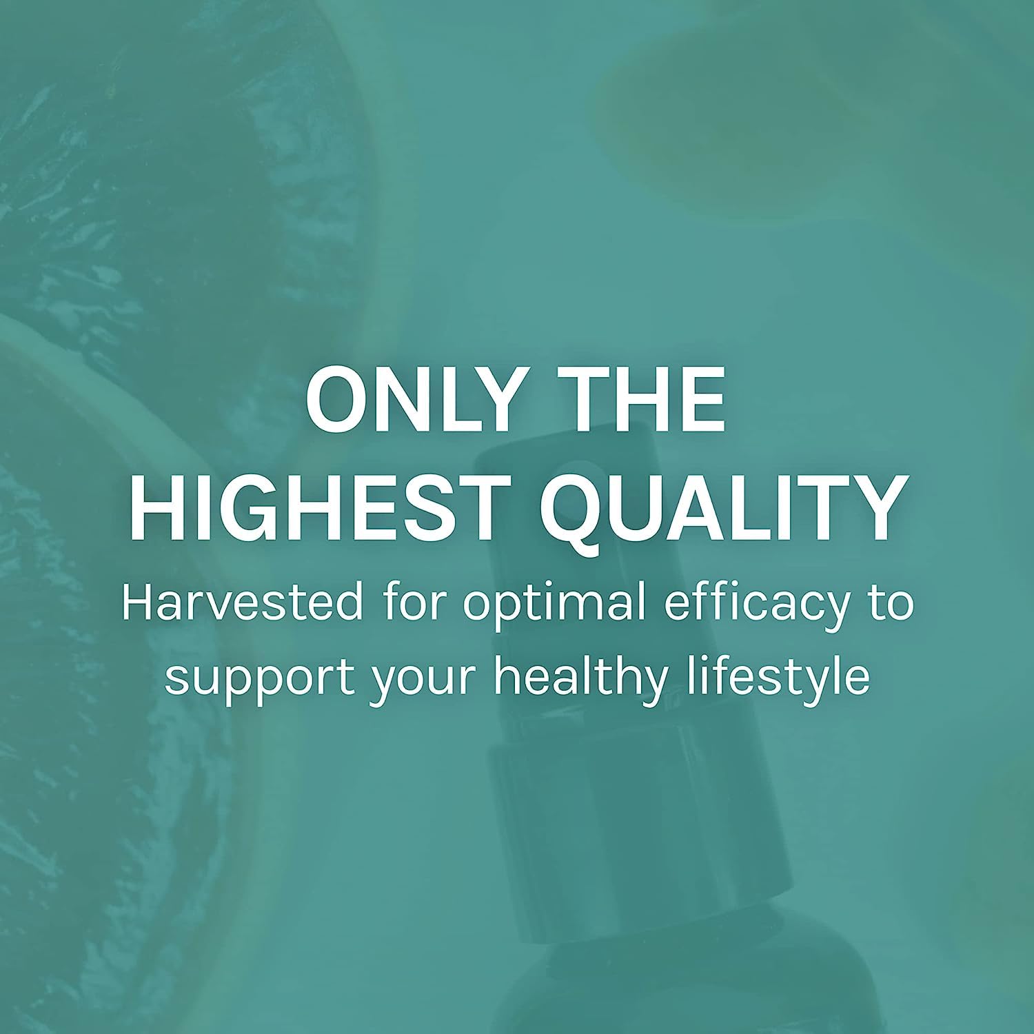 Host Defense MycoShield biologique - sans compromis sur la qualité