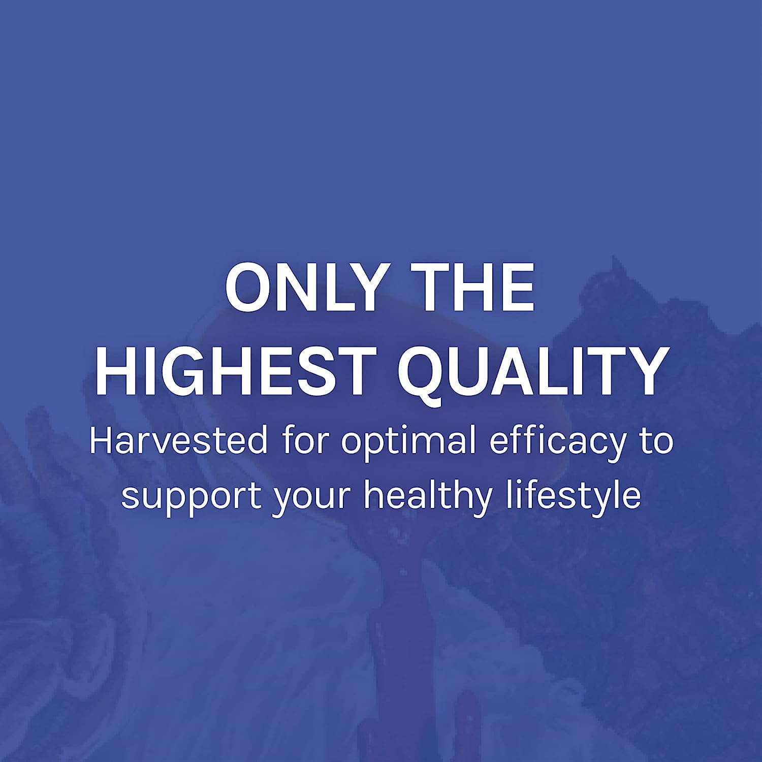 Host Defense Stamets7: produit cultivé aux États-Unis et biologique.