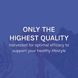 Host Defense Stamets7: produit cultivé aux États-Unis et biologique.