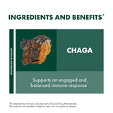 Substrat Riz Brun base naturelle pour le chaga et sa production.