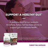 Host Defense Tramète versicolore: substrat riz brun et mycelium de qualité.